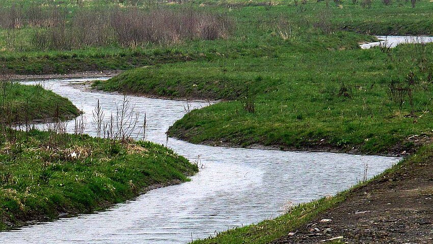 Ein schmaler Fluss, die Emscher, schlängelt sich durch eine grüne Landschaft. Die Ufer sind mit Gras und niedrigen Büschen bewachsen, die dem Flusslauf folgen. Das Wasser ist ruhig und spiegelt den Himmel wider.