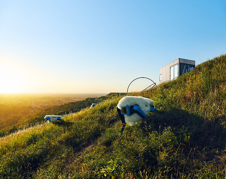 Kampagnen-Bild für den Header mit einem Roboterschaf auf der Halde Hohenward mit Tiny House im Hintergrund und Horizontobservatorium. Forograf: Paul Masukowitz Photography, Produktion: Adlips GmbH